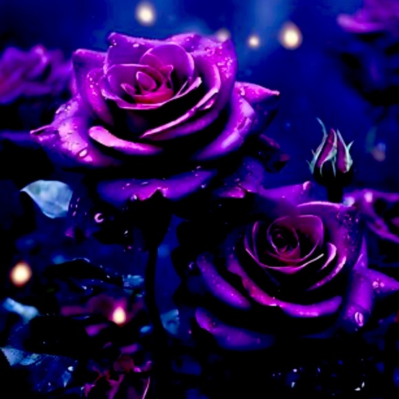 Meet your Posher, Pam - Picture 1 of 1